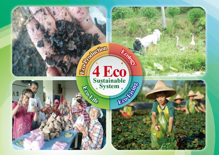 Biochar of water caltrop shells